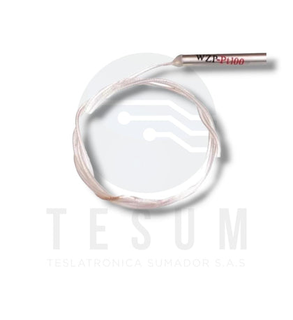 Sensor de temperatura PT100 WZP