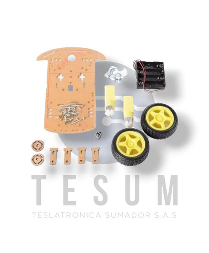 Kit 2WD Carro Inteligente 2 Ruedas