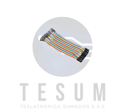 Jumper Hembra-Hembra 15cm