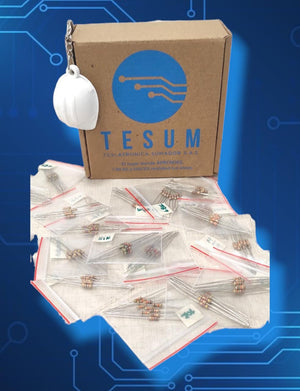 Kit de resistencias de 1/4w 5% (250 unidades) + Llavero