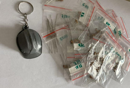Kit de resistencias de 1/4w 5% (250 unidades) + Llavero